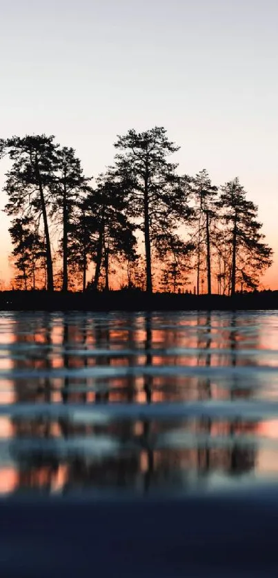 Sunset over a calm lake with tree silhouettes reflecting on the water.