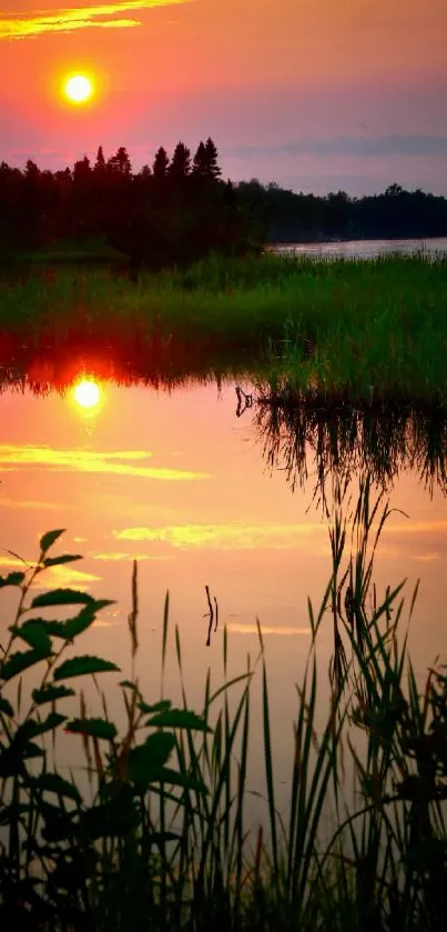 A serene lake reflecting a vibrant sunset with silhouetted trees and lush vegetation.