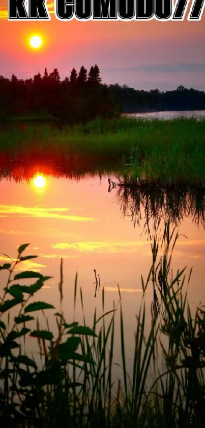 Peaceful sunset reflecting on a tranquil lake with lush greenery.