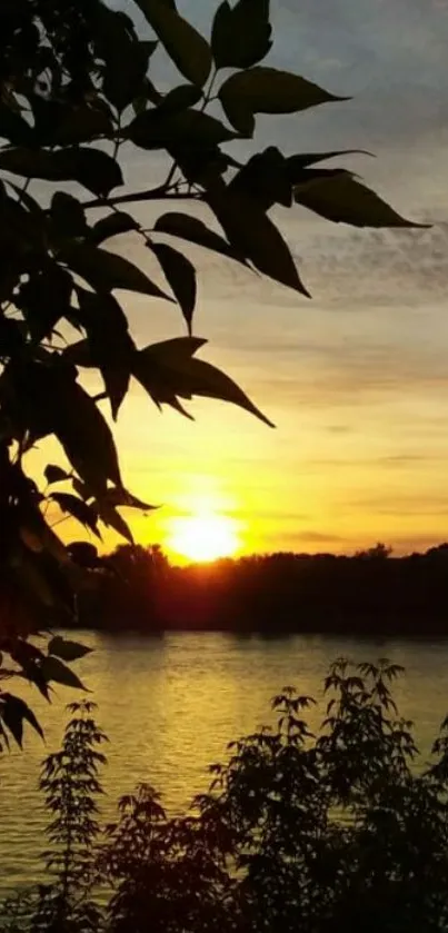 Peaceful sunset over a tranquil lake, silhouetted by trees.