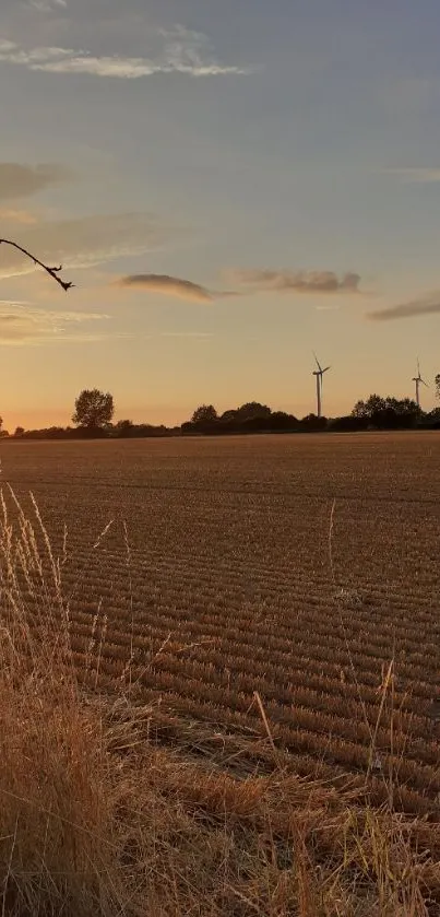 Serene sunset over a rural field with wind turbines in the distance.