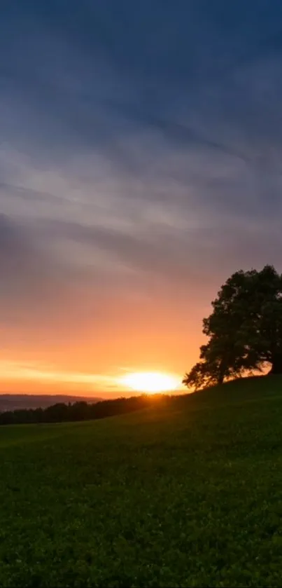 Serene sunset over green fields with a lone tree silhouette.