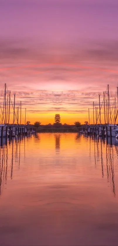 Mobile wallpaper featuring a sunset marina with vibrant purple reflections.