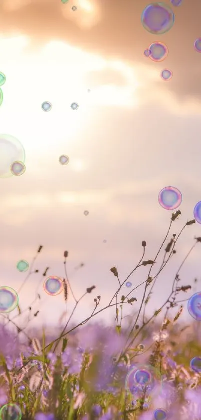 Serene sunset with bubbles over a meadow.