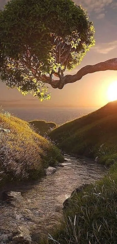 Sunset over a serene landscape with a unique tree and stream.