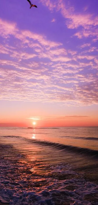 Serene beach sunset with purple and orange sky.