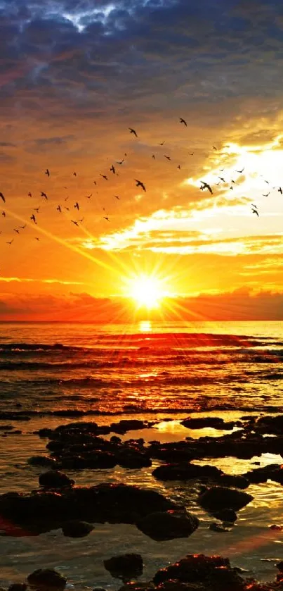 Stunning sunset over ocean with birds in the sky, creating a serene backdrop.