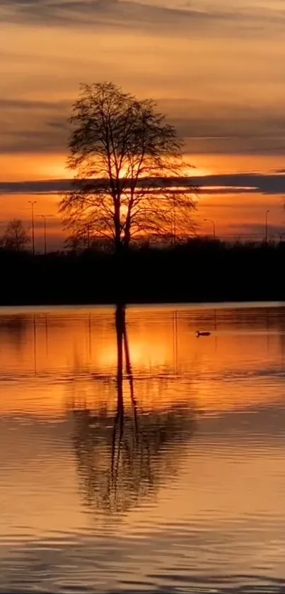 Sunset over a lake with tree reflection and orange hues.