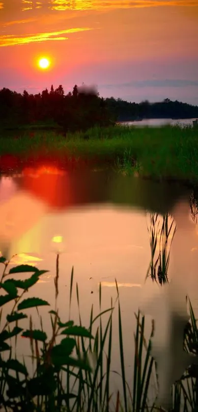 Serene sunset over a calm lake surrounded by greenery.