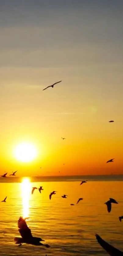 Serene sunset over ocean with flying birds.