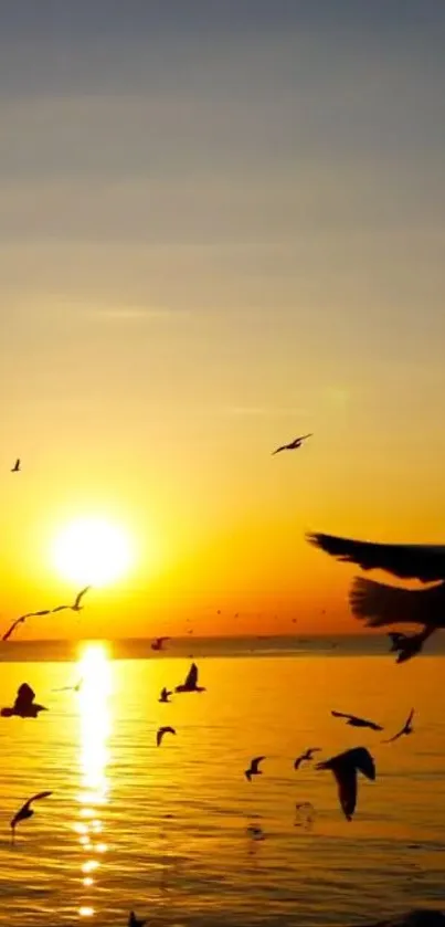 Beautiful sunset with birds over calm water.