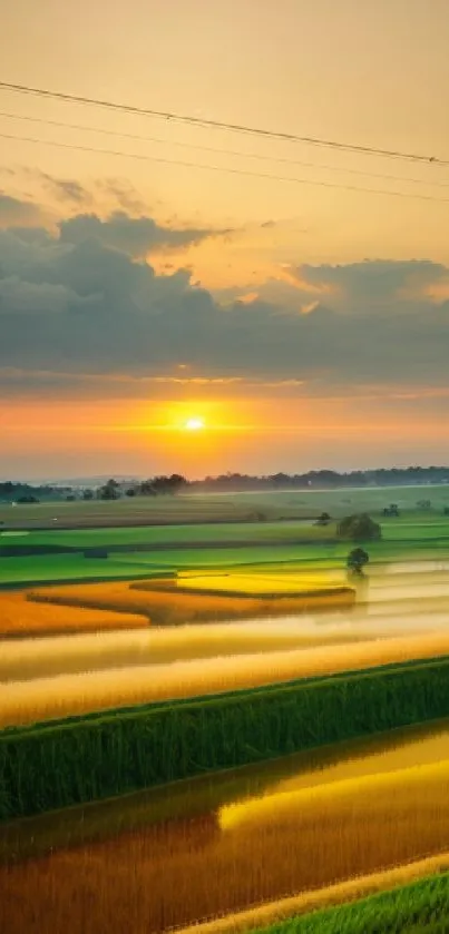 Serene sunset over a vibrant fields landscape with orange sky.