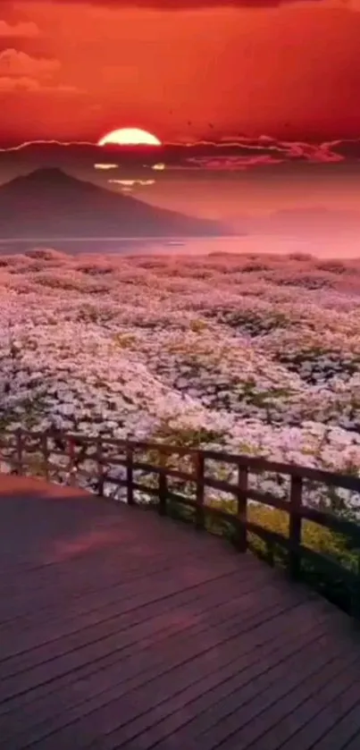 Sunset over a vast floral field with a scenic mountain view.