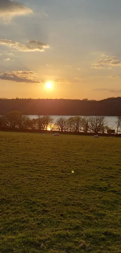 Serene landscape of sunset over a tranquil lake and green meadow.