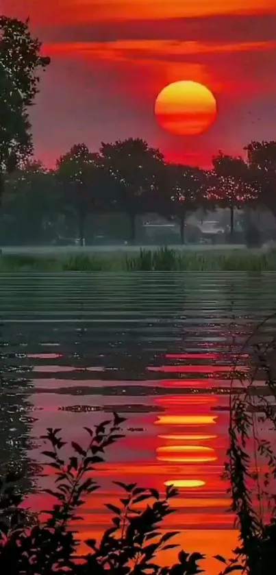 Sunset over lake with serene reflections and tree silhouettes.