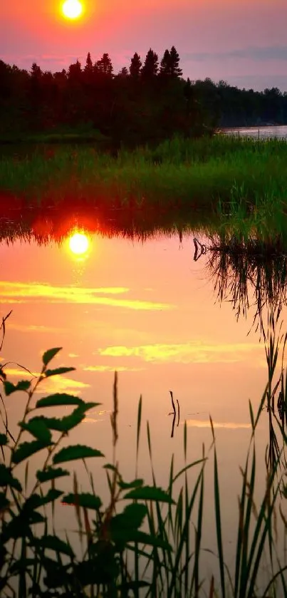 Serene sunset with lush greenery reflecting on a tranquil lake surface.