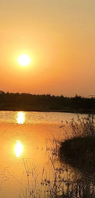 Serene sunset over a tranquil lake with golden reflections.