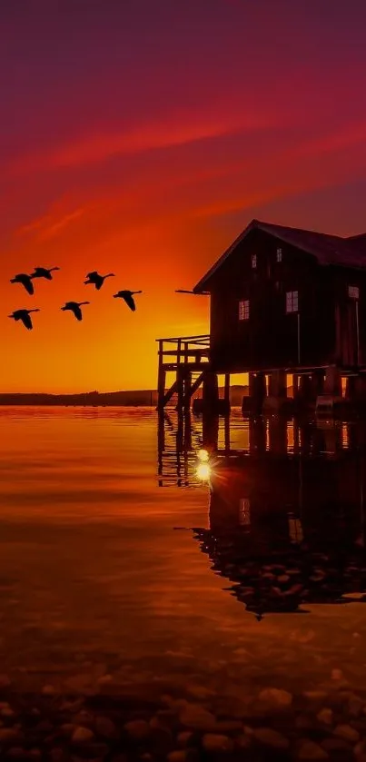 Beautiful sunset over a lake with birds in flight and a waterfront house.