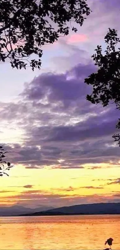 Serene sunset over a lake with silhouetted trees.