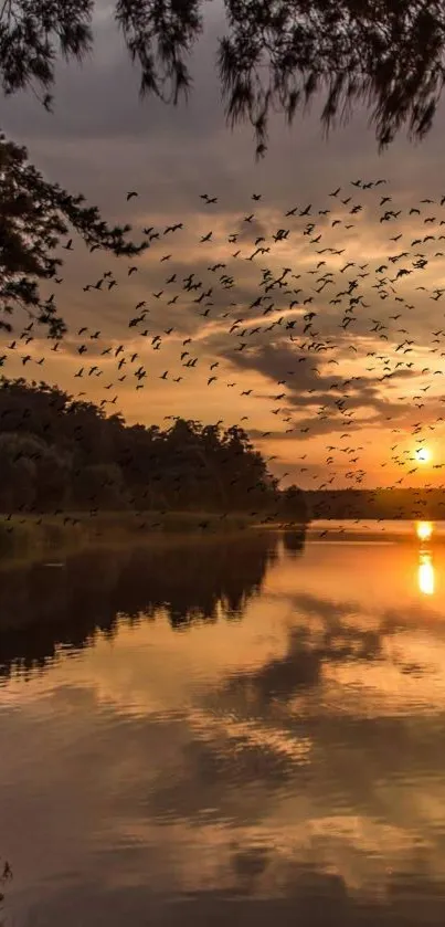 A peaceful sunset over a lake with birds flying across the orange-hued sky.