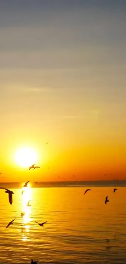 Beautiful sunset over ocean with flying birds and orange glow.