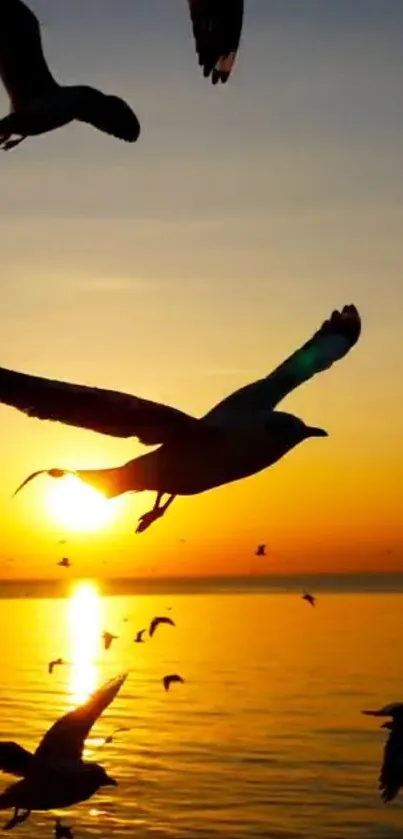 Flying seagulls silhouetted against a vibrant sunset over the ocean.