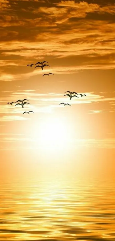 Calming sunset over the ocean wallpaper with birds flying.