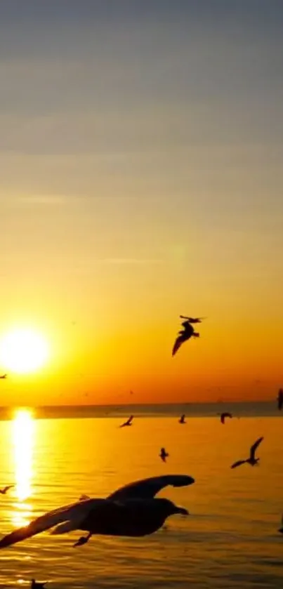 Golden sunset with birds flying over a reflective ocean.