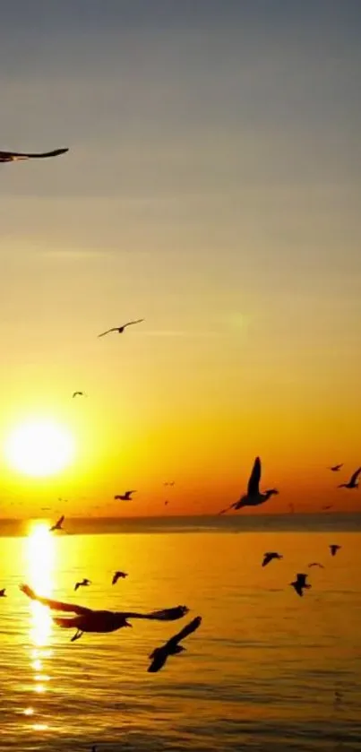 Sunset over ocean with birds flying and vibrant orange sky.