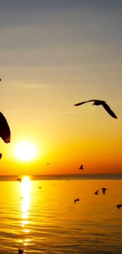 Golden sunset over the ocean with silhouettes of flying birds.