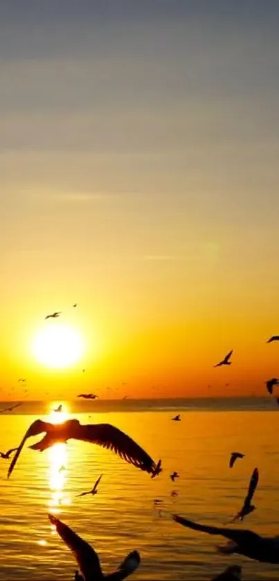 Sunset over ocean with birds silhouetted against a golden sky.