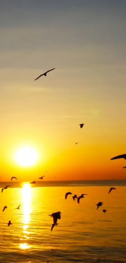 Golden sunset over ocean with birds flying in silhouette.