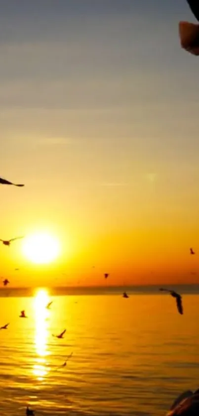 Mobile wallpaper of serene sunset over ocean with flying birds.