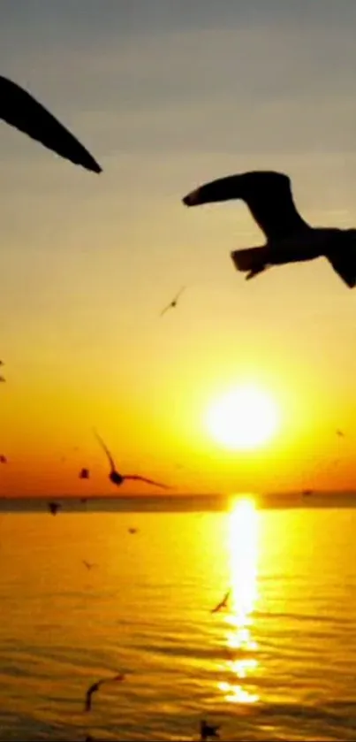 Silhouetted birds flying over ocean at golden sunset