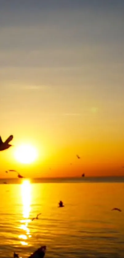 Sunset over water with birds flying peacefully.