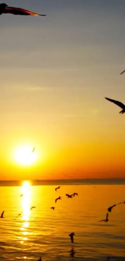 Golden sunset over ocean with flying birds.