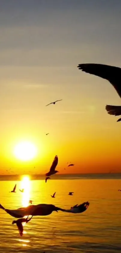 Sunset over ocean with birds silhouetted in the sky.