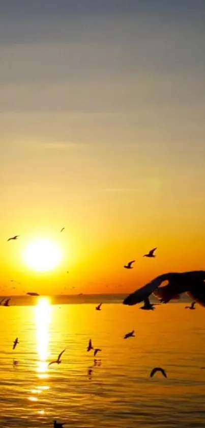 Sunset over ocean with birds flying in the orange glow.