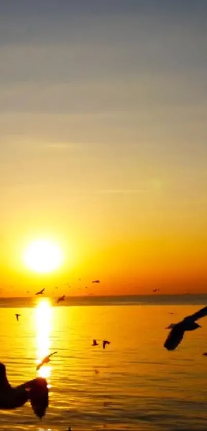 Sunset over ocean with birds flying at horizon