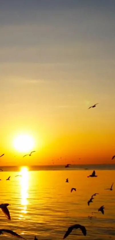 Sunset over ocean with flying birds