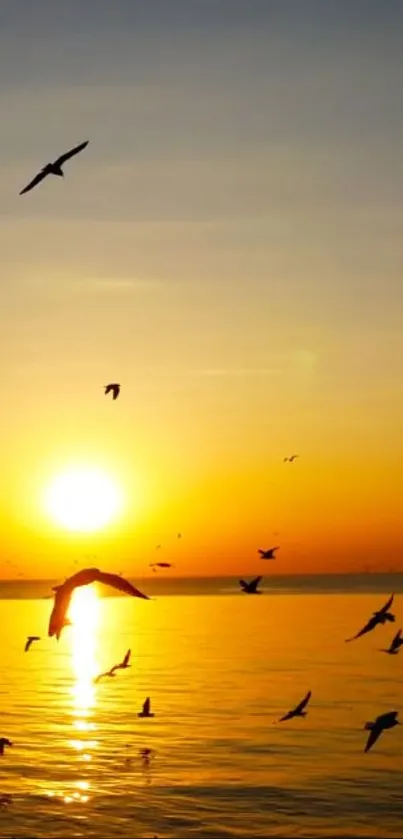 Birds fly across a golden ocean sunset, creating a serene wallpaper view.