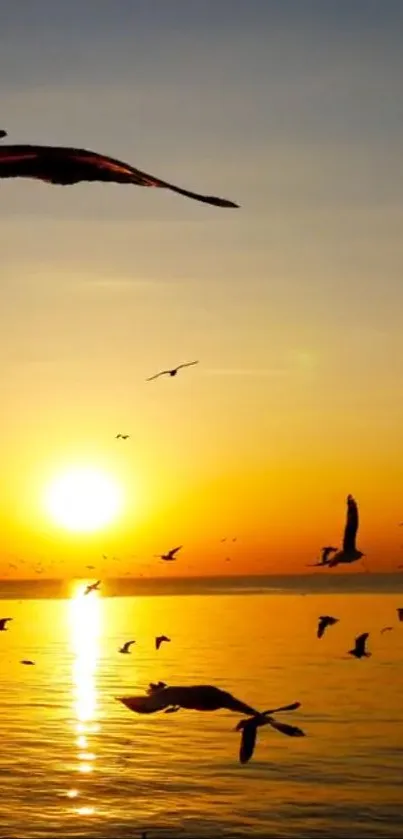 Sunset over ocean with flying birds silhouetted against an orange sky.