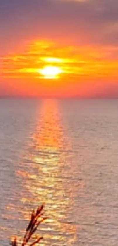 Serene sunset over the ocean with calm waves and silhouetted trees in foreground.