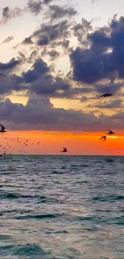 Vibrant ocean sunset with birds and clouds.