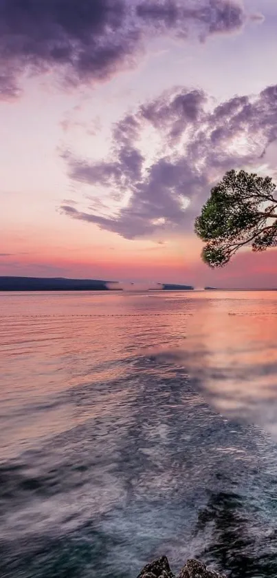 Serene sunset over ocean with pastel sky and tree silhouette.