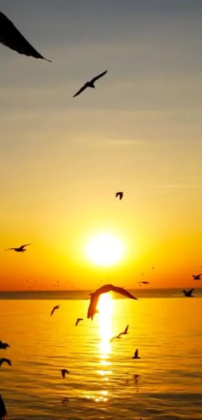 Mobile wallpaper of a sunset with birds flying over an ocean horizon.