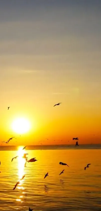 Sunset view over the ocean with birds flying.