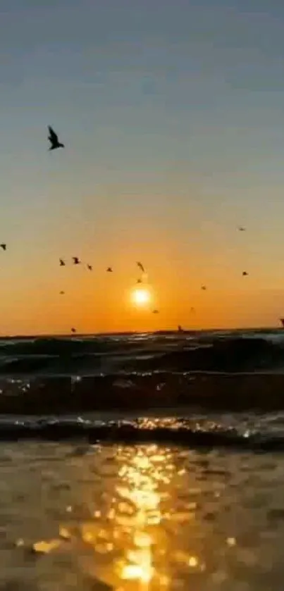 Sunset over ocean with birds and orange sky.