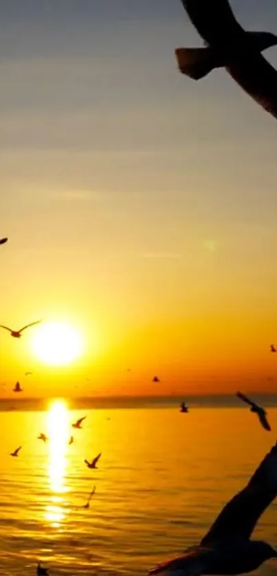 Serene sunset with seagulls over ocean horizon.