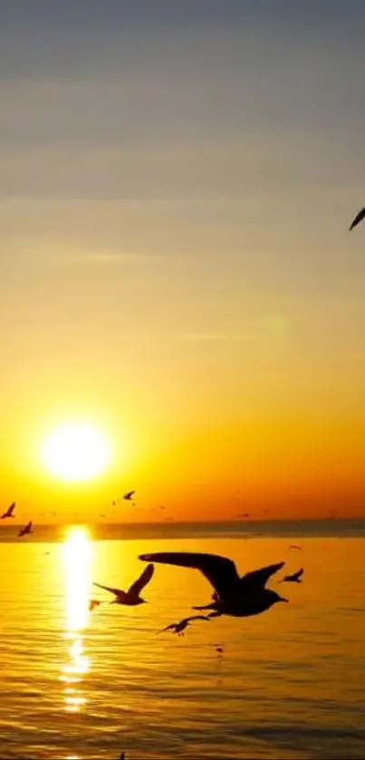 Sunset over ocean with birds silhouetted against the sky.